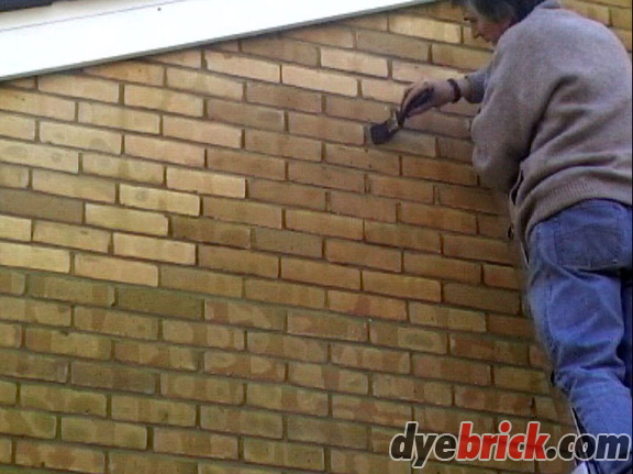 Brick Tinting 2